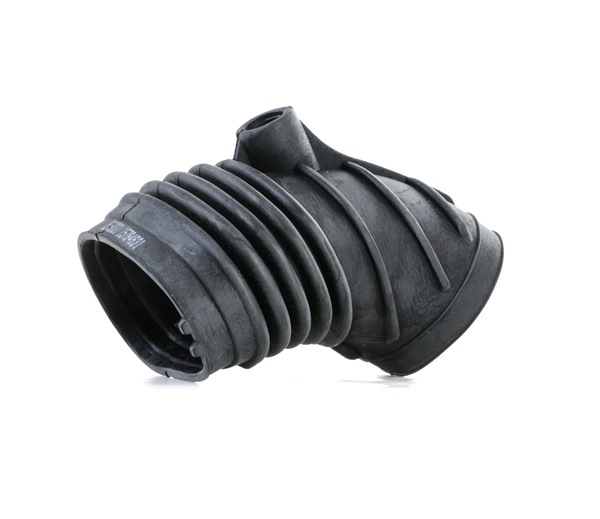 Numer OEM 13 71 1 734 258 - Przewód ssący, filtr powietrza 1591I0029 BMW