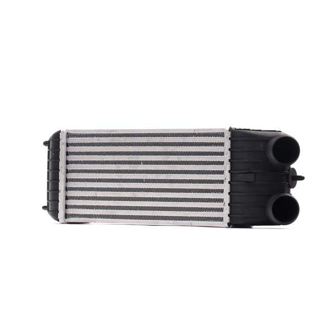 RIDEX 468I0139 intercooler PEUGEOT 207 CC 1.6 HDi 109hp 2007