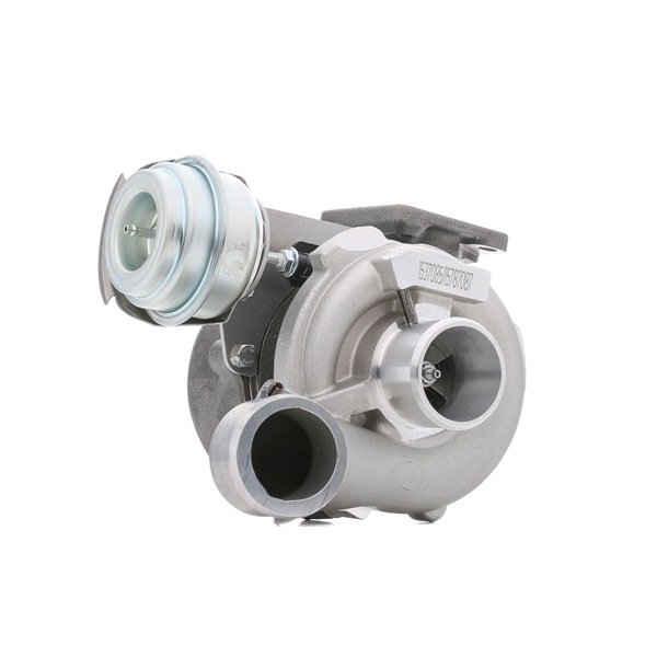RIDEX 2234C10019 Fiat Multipla 186 turbocharger replacement cost