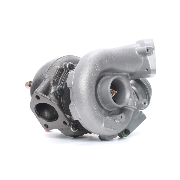 kupić RIDEX REMAN (2234C10022R) Turbosprężarka