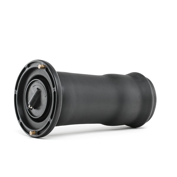 Numer OEM RKB 101200 - Poduszka zawieszenia 4119A0053 LAND ROVER, ROVER