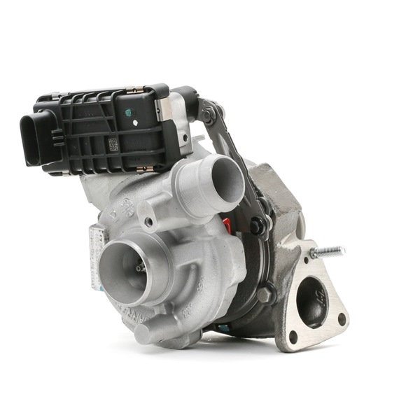 kupić RIDEX REMAN (2234C10060R) Turbosprężarka