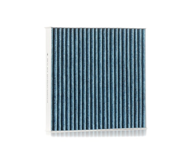 Filtre FIAT 500e: Pollenfilter STARK SKIF-0170599