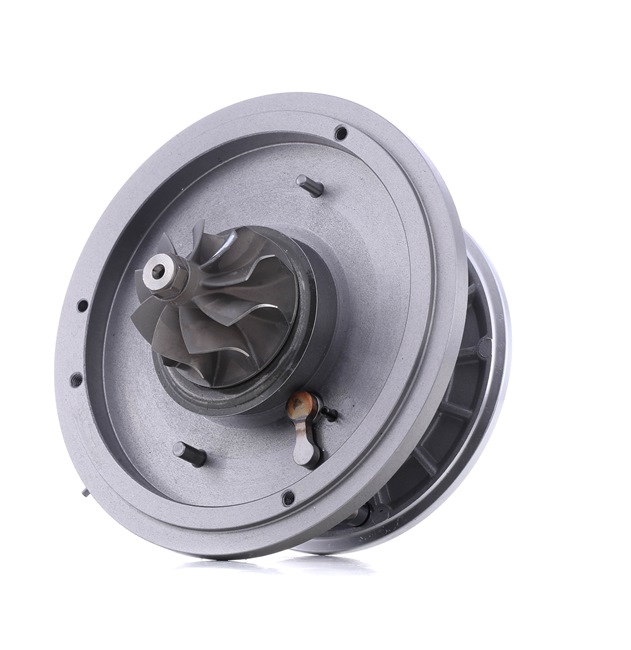 Coreassy turbina 4973C0064 RIDEX Volkswagen Touran I (1T1, 1T2) 2.0 TDI 2008 140 CV