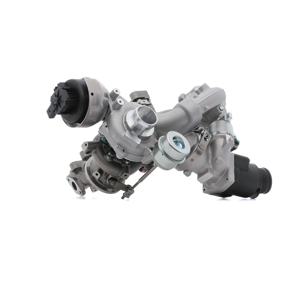 RIDEX (2234C10083) Turbolader bestellen