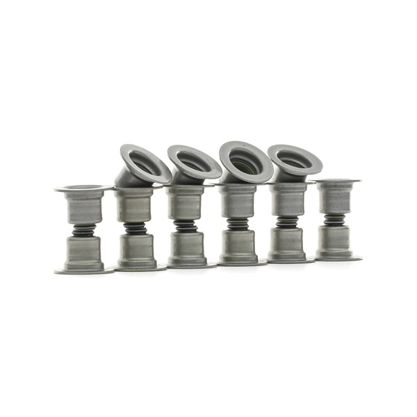 STARK SKSSV-4070016 valve stem seals FORD Transit Mk6 Van (V347, V348) 2.3 16V CNG RWD 136hp 2009