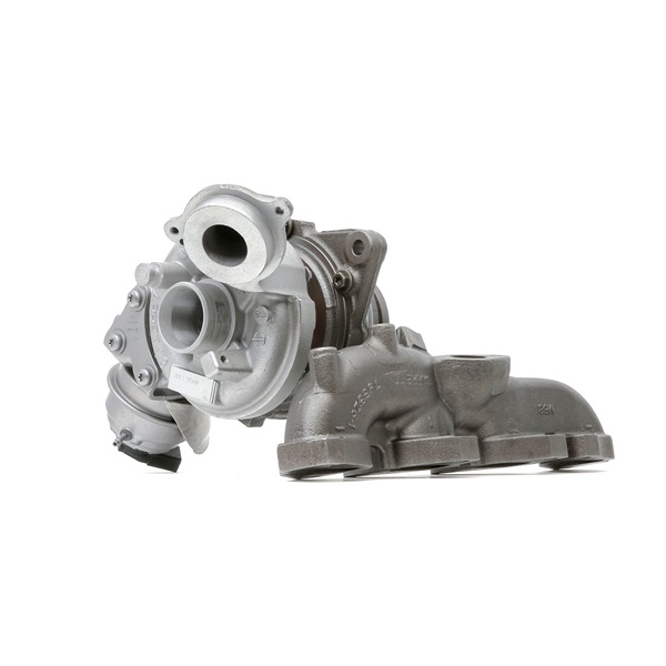 Turbo 2234C10096R RIDEX REMAN VW Touran I (1T3) 2.0 TDI 2010 170 PS