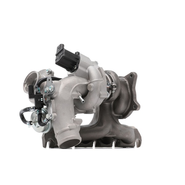 Turbolader 2234C10098 RIDEX Volkswagen Eos (1F7, 1F8) 2.0 TFSI 2007 200 Pk