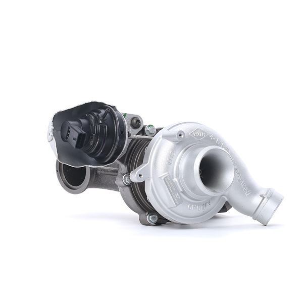 kupić RIDEX REMAN (2234C10100R) Turbosprężarka