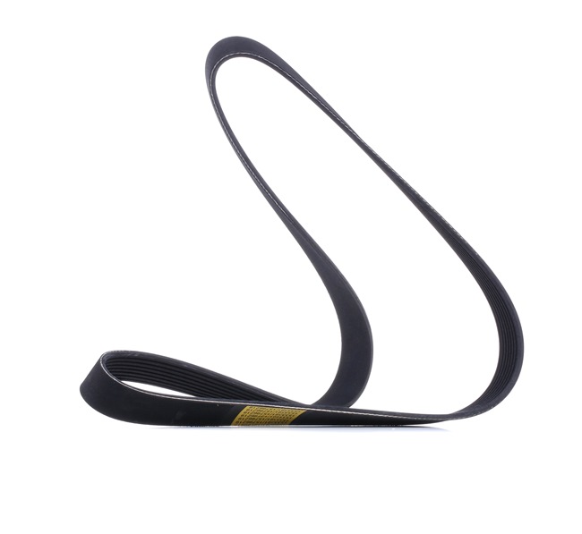 RIDEX | Correia Trapezoidal Estriada 305P0473 MAZDA 6 Sedan (GH) 2012 baratos online