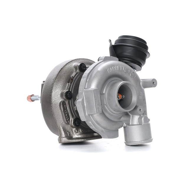 RIDEX REMAN | Turboaggregat uten tetning, med påbygnings/festemateriale 2234C0312R BMW 5 Sedan (E39) 2002 billige på nett