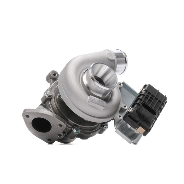 køb RIDEX (2234C10120) Turbolader