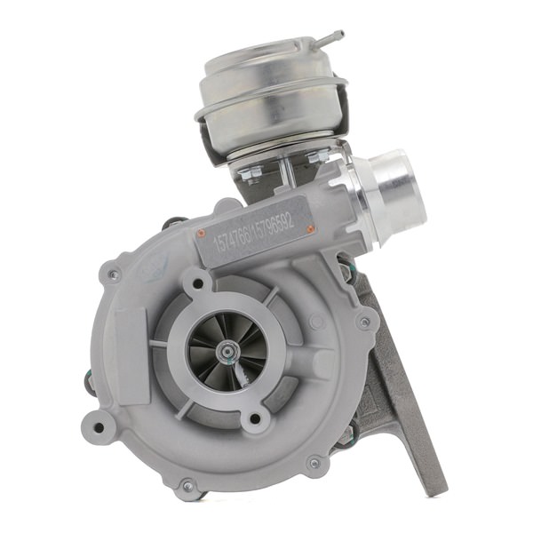 Turbolader 2234C10121 RIDEX RENAULT Master III Van 2.3 dCi 125 RWD (FV0C, FV0D, FV0H, FV0J, FV0A, FV0K) 2012 125 hk