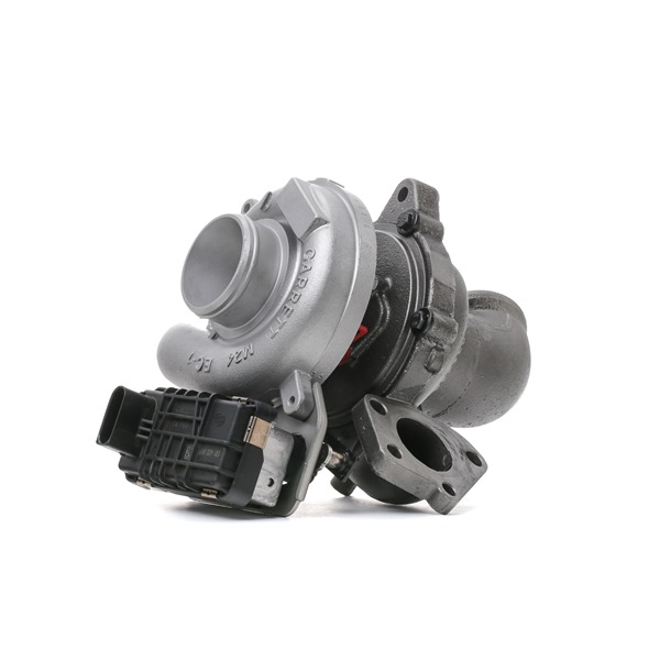 kupić RIDEX REMAN (2234C10123R) Turbosprężarka