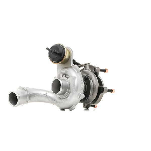 Turboaggregat 2234C10134R RIDEX REMAN RENAULT Scénic I (JA0/1, FA0) 1.9 dCi 2002 102 hk