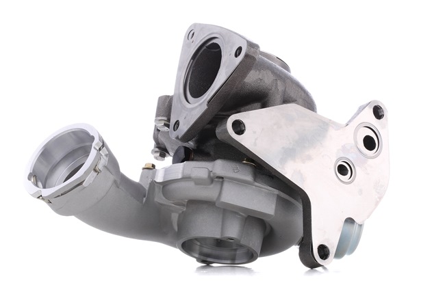 Turbolader 2234C10138 RIDEX Volkswagen Multivan T5 (7HM, 7HN, 7HF, 7EF, 7EM, 7EN) 2.5 TDI 2003 130 Pk