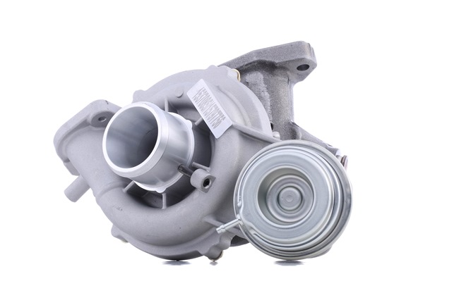 Turboaggregat 2234C10141 RIDEX FIAT Doblo II Kombi (263) 1.6 D Multijet (263AXD1B, 263AXX1B) 2010 105 hk