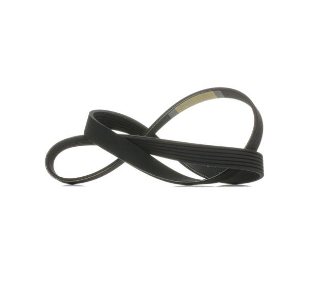 Correia trapezoidal estriada 305P0476 RIDEX FORD Mondeo Mk4 Carrinha (BA7) 1.6 Ti 2010 120 cv