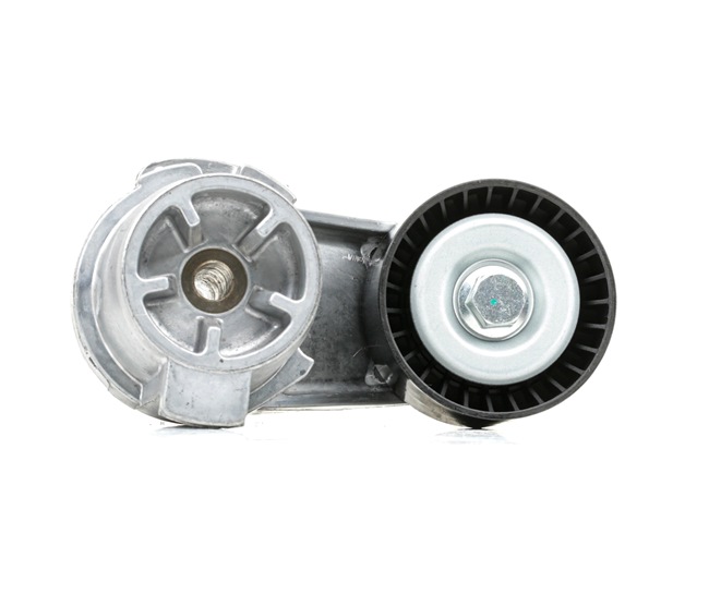 RIDEX | Rolo Tensor Ø: 70,00mm 310T0377 BMW 5 Touring (F11) 2017 baratos online