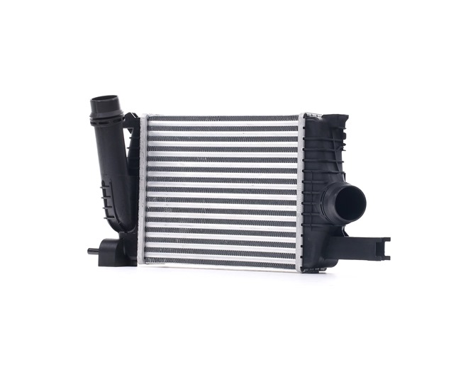 RIDEX 468I0158 Intercooler Renault Supercinq