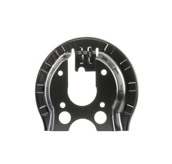 RIDEX 1330S0183 Brake disc back plate CITROËN C4 I (LC_) 1.6 VTi 120 hp Petrol 2011
