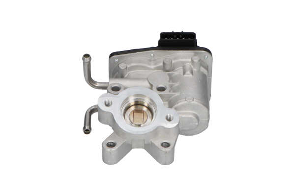 kupić KAVO PARTS (EEG-8003) Zawór EGR