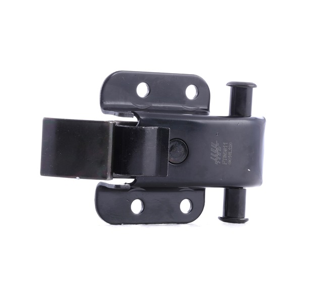 FAST Kofferraumklappe hinten, beidseitig FT95611 13,36 € online erwerben