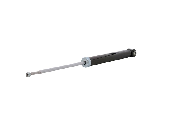 DACO Germany 565001 shock absorber CHEVROLET Aveo / Kalos Hatchback (T250, T255) 1.2 75hp 2021