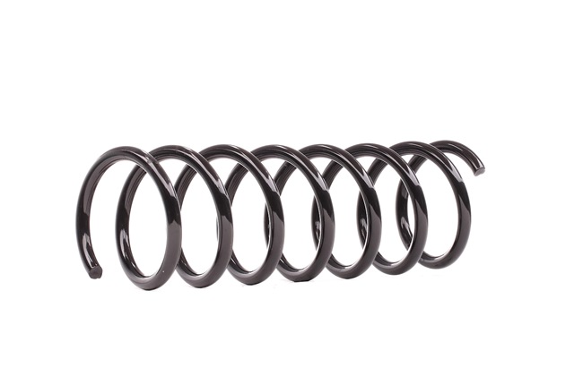DACO Germany 811020 Ford C-Max DM2 coil springs replacement cost