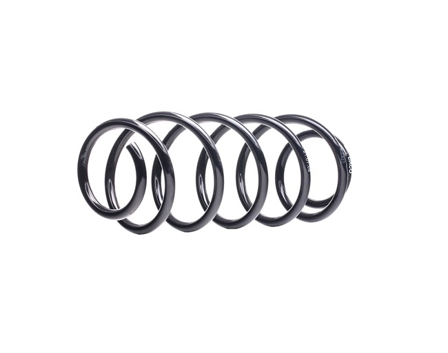 812303 DACO Germany A1693243104 Coil spring