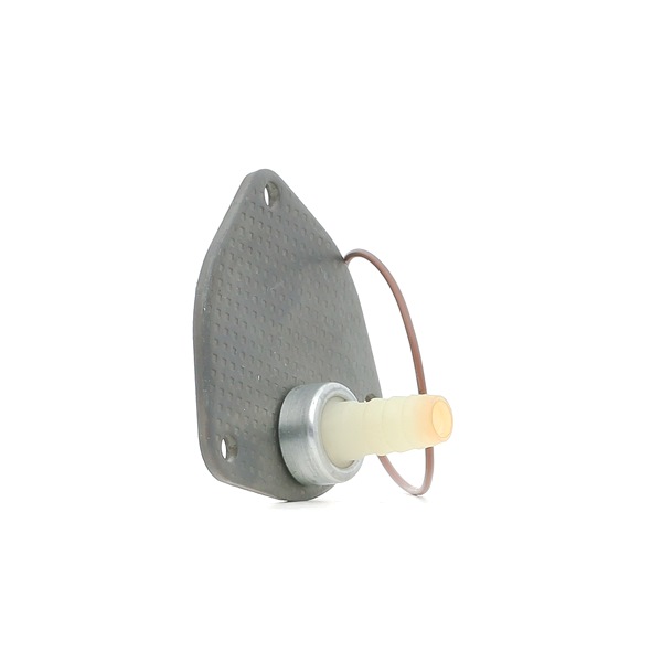 Pompa depressione, Sistema frenante 387V0083 RIDEX Volkswagen Transporter T4 Bus (70B, 70C, 7DB, 7DK, 70J, 70K, 7DC, 7DJ) 1.9 D 1994 61 CV