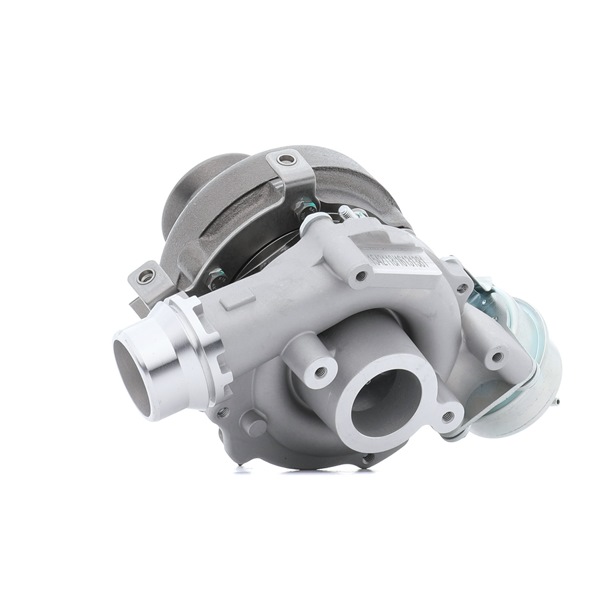 RIDEX | Turbolader med tetning 2234C10154 RENAULT Scénic III (JZ0/1_) 2015 billige på nett