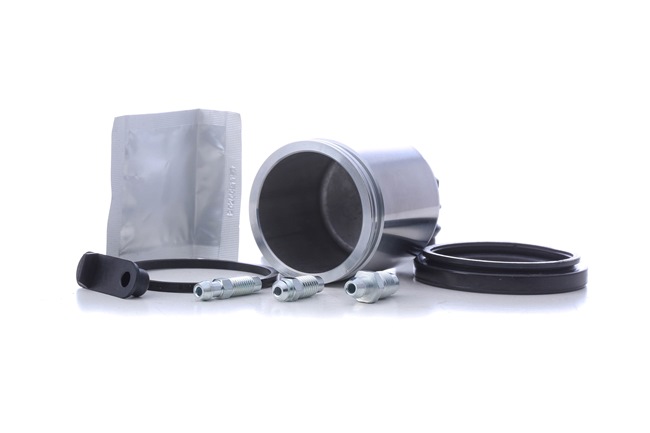 Kit di revisione della pinza freno 405R0272 RIDEX RENAULT Clio III Hatchback (BR0/1, CR0/1) 1.2 Ethanol (CR1U, BR1U) 2009 75 CV