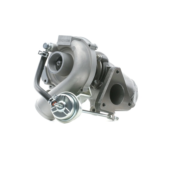 kupić RIDEX (2234C10163) Turbosprężarka