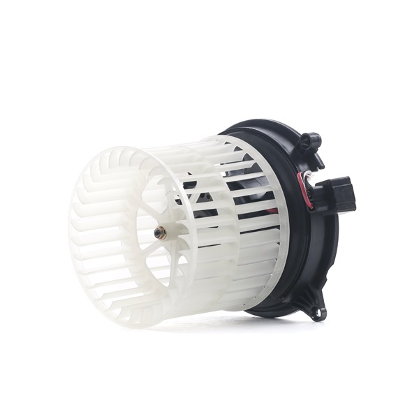 RIDEX 2669I0213 Blower motor FORD FIESTA 5 Van 1.3 69 hp Petrol 2005