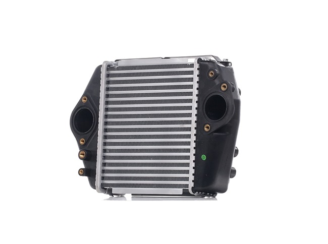 Intercooler 468I0161 RIDEX MAZDA 6 Familiar (GH) 2.2 MZR-CD (GH10) 2009 125 cv