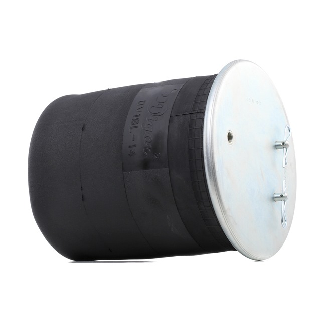 Numer OEM 1 774 804 - Poduszka zawieszenia 4119A0064