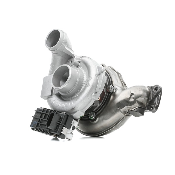 kupić RIDEX REMAN (2234C10239R) Turbosprężarka