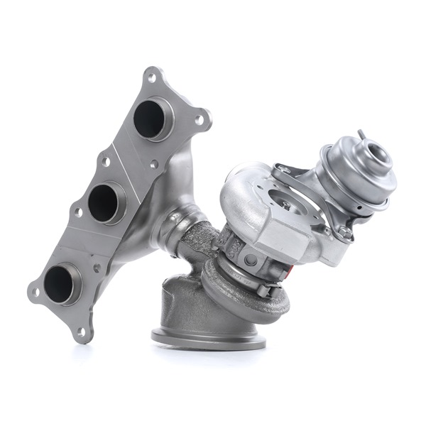 acquisto RIDEX REMAN (2234C10298R) Turbina