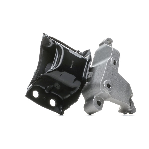 Motorhalter 247E0619 RIDEX RENAULT Twingo II Schrägheck 1.5 dCi 2009 84 PS