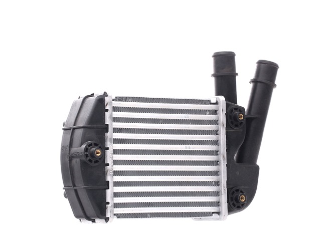 RIDEX 468I0260 Ladeluftkühler FIAT PANDA (169) 1.3 JTD Multijet 4x4 (169AXG1A, 169AXG2A) 75 PS Diesel 2013