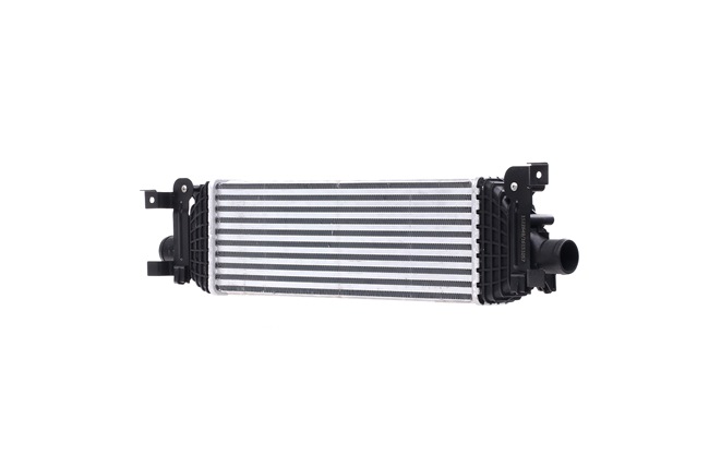 kupić RIDEX (468I0301) Intercooler