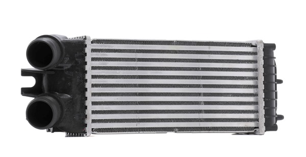 kupić STARK (SKICC-0890426) Intercooler