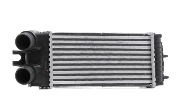 RIDEX | Intercooler 468I0311 CITROËN Berlingo / Berlingo First I Van (M) 2003 billige på nett