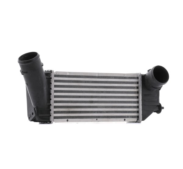 RIDEX 468I0325 Intercooler Peugeot 307 SW