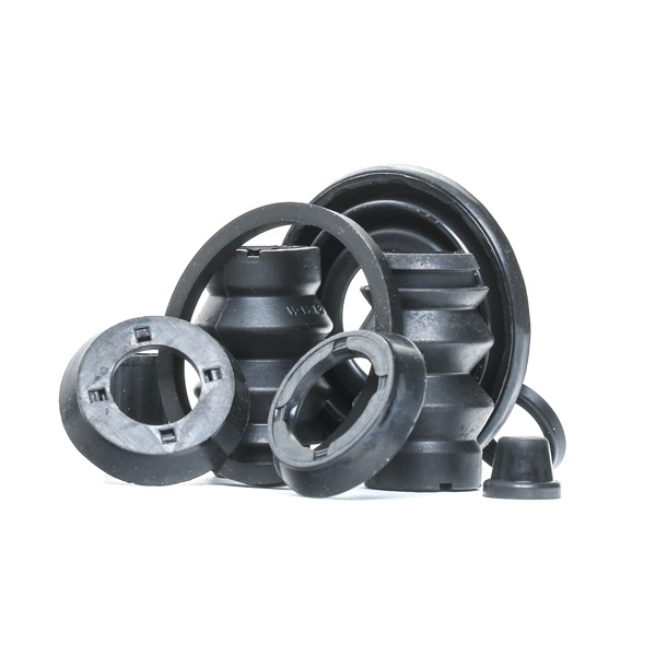 Kit di revisione della pinza freno 405R0341 RIDEX FIAT 500L (351, 352) 1.6 D Multijet (199LYE1B) 2015 120 CV