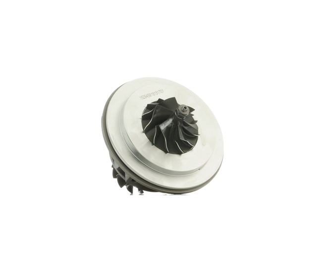 RIDEX 4973C0090 turbo AUDI A4 B6/B7 Cabriolet (8H7, 8HE) 2.0 TFSI 16V 200CV 2007