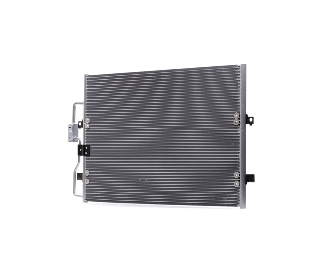 Kondensator 448C0361 RIDEX FIAT Scudo I Kombi (220) 1.9 D 1997 69 PS