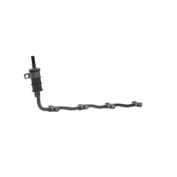 Einspritzleiste 3937H0032 RIDEX RENAULT Espace IV (JK) 2.0 dCi (JK03, JK04, JK1C, JK1G, JK1J, JK1K) 2006 173 PS