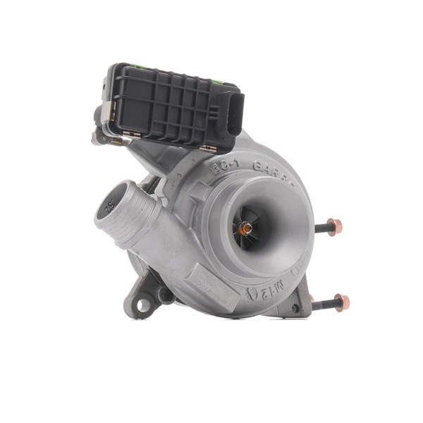 kjøpe RIDEX REMAN (2234C10452R) Turbolader